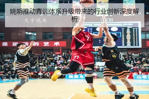 姚明推动青训体系升级带来的行业创新深度解析